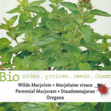 Oregano BIO (Origanum vulgare) 700 seeds